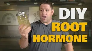 Willow Water: FREE Root Hormone