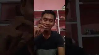 ciri pisik ayam pukul cepat