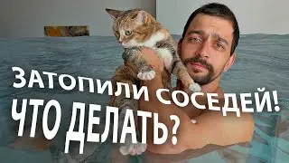 Затопили соседей! Что делать?