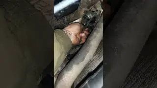 Лада гранта новые технологии 