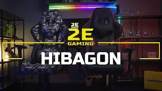 2E Gaming Chairs - HIBAGON Gen I Series