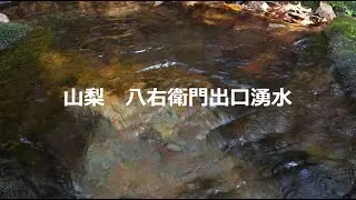 山梨県　八右衛門出口湧水　（2022年秋）