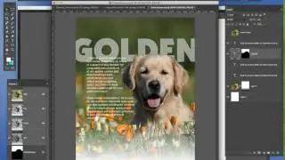 How to Create a Custom Text Wrap in Photoshop & InDesign