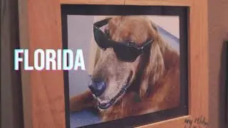 Florida Travel - Two Week Vacation