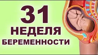 What's happening to baby and mother at 31 weeks of pregnancy? 7th month of pregnancy. Third trime...