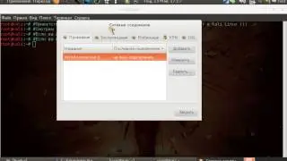 Настройка интернета в Kali Linux