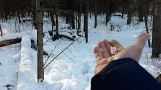 Помогаю птичками пережить зиму.