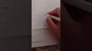 11-ci sinif buraxılış imtahanlarına hazırlaşanlar üçün sinaq N6