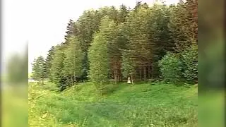Соколовский хор У Яра
