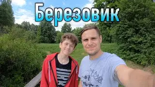 Березовик