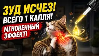 Всего ОДНА капля избавит кошку от блох и зуда НАВСЕГДА! Естественный способ