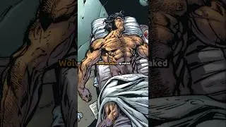 Spider-Man and Wolverine switch Bodies...
