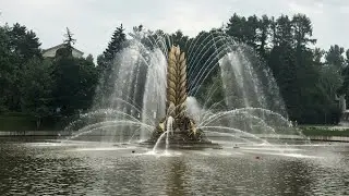 Каменские пруды ВДНХ