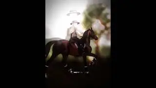 Clip credit: seyuaep-tiktok bc im too broke to by a saddlebred🩶