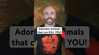 Adorable Animals that can KILL YOU! #shorts