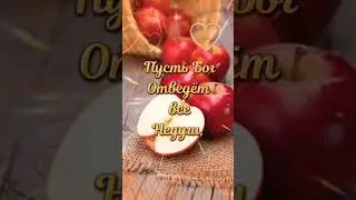 19 августа-Яблочный Спас.#яблочныйспас #природа #musicclip #мотивациядня #лето #отдых #musicvideo
