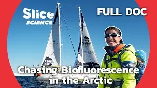 Deep Dive into the Arctic’s Biofluorescent World | SLICE SCIENCE | FULL DOCUMENTARY