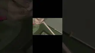 МАРМОК ЗАХОТЕЛ ПОМЫТЬСЯ (Marmok) VR!#shorts