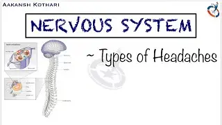 Types of Headaches | Nervous System Pathology by Aakansh Kothari