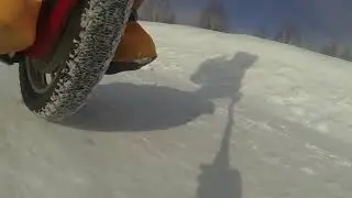 Сарва: Под колесом