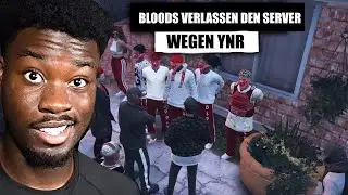 [FINALCITY] SIE WOLLEN GEHEN - ENTWEDER YNR ODER BLOODS