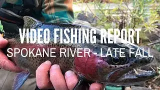 Spokane River - Video Fishing Report - Late Fall