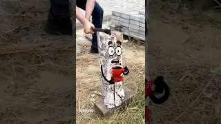 Goodland | Poor log 🥹 