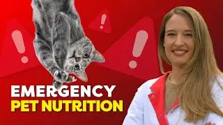 Dr. Diana Brozić: Critical Care Nutrition