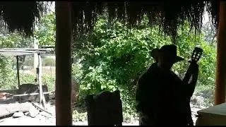 On Jose's farm near Trinidad in Cuba