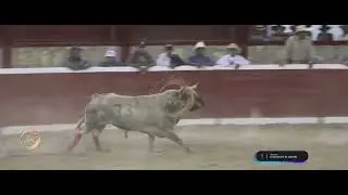 Pego el Gasparin de Rancho La Perla.