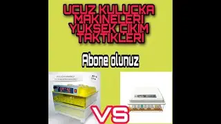 #Berenkuluçka Ucuz kuluçka makinelerinden yüksek verim alınır mı? En ucuz dayanıklı makine hangisi