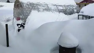 Теплицы из ПЭТ бутылок. Часть 3.