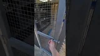 Whats In Here?