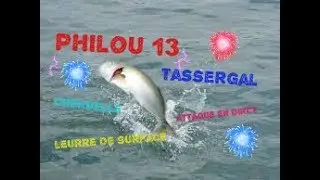 PECHE AU LEURRE DE SURFACE AU TASSERGAL