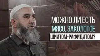 Is it permissible to eat meat slaughtered by a Rafidhi Shia?