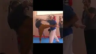Shaolin Pubu App 