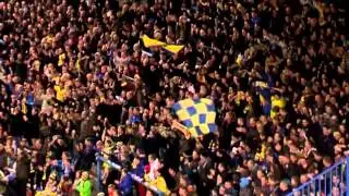 Waasland-Beveren Logo Reveal