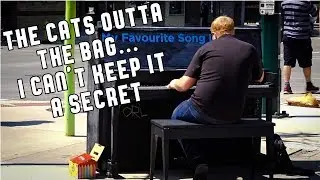The Cats Outta the Bag...I Can't Keep it A Secret Any Longer