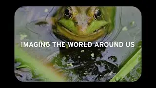 Imaging the world around us through wildlife and arts photography