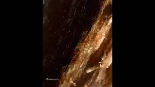 Максимальное приближение куска дерева