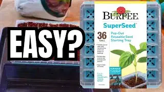 Starting Seeds in the Burpee SuperSeed Seed Starting Tray
