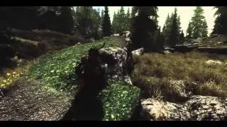 Skyrim: ENB + ELFX + ini + Skyrim Flora Overhaul + Tamriel Reloaded...and more