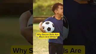 Why Are Soccer Balls Black And White?