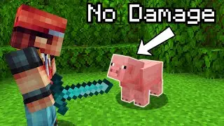 Is it Possible To Beat Minecraft Without Dealing Damage ?