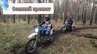 Осенний прохват
