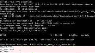 Shoutcast im Linux VPS installieren