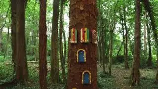 Illuminated fairy glen, Summerhill Glen, Isle of Man  (DJI Osmo X3 with Z Axis test)
