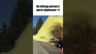 "My allergies are killing me" ahh tree 🤢
