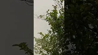 Rain and Naat Alhumdullilah #raining #rainlover #pamitan