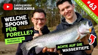 Welche Spoons sind die besten für Forelle? 🎣